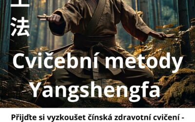 Workshop cvičení metody Yangshengfa